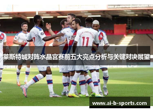 莱斯特城对阵水晶宫赛前五大亮点分析与关键对决展望