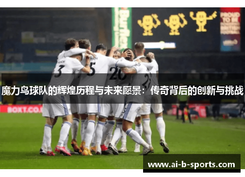 魔力鸟球队的辉煌历程与未来愿景：传奇背后的创新与挑战